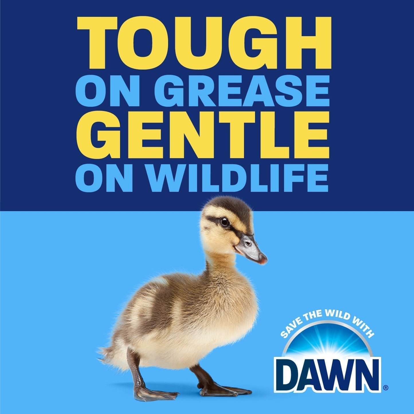 Dawn Ultra Ez-Squeeze Dish Soap 22oz (650ml)