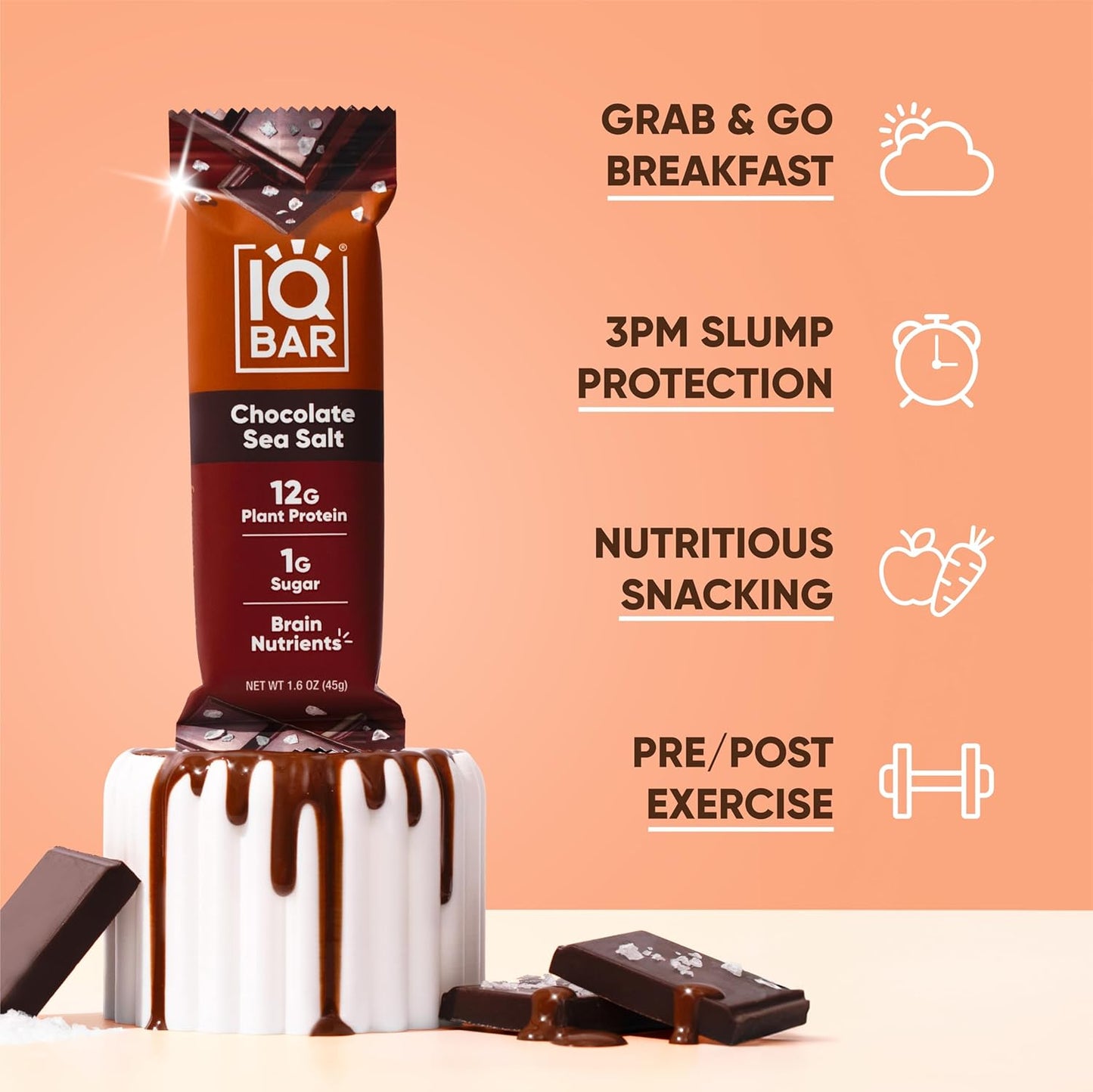 IQBAR Brain and Body Plant Protein Bars I Chocolate Sea Salt I Low Sugar Keto Energy Bar I 12g Protein