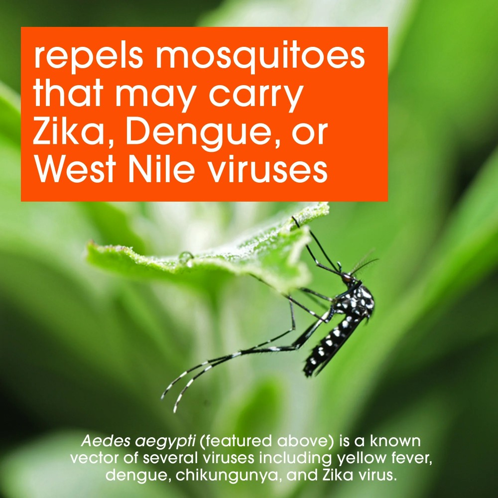 OFF! Active Insect Repellent I 6oz (170g)