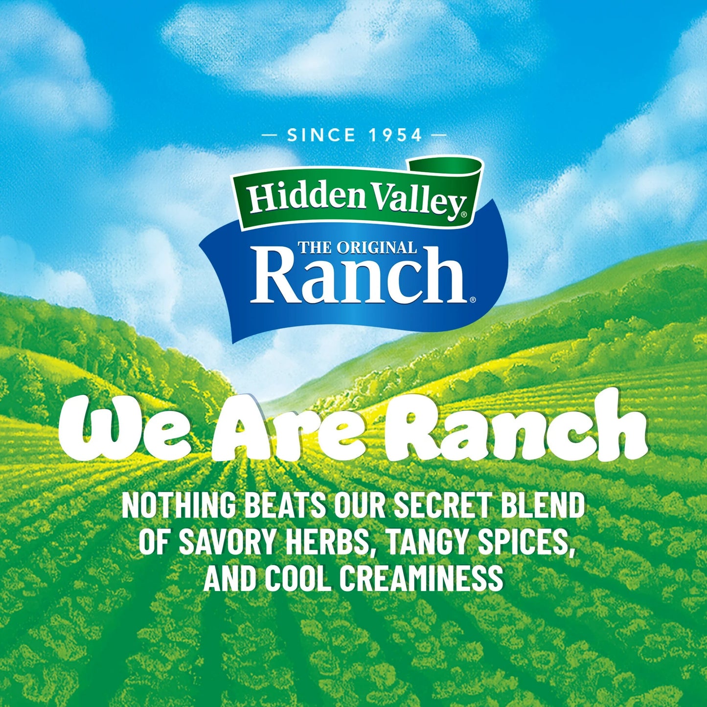 Hidden Valley Gluten Free Original Ranch Salad Dressing and Topping 24oz (709ml)
